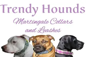 Trendy Hounds USA